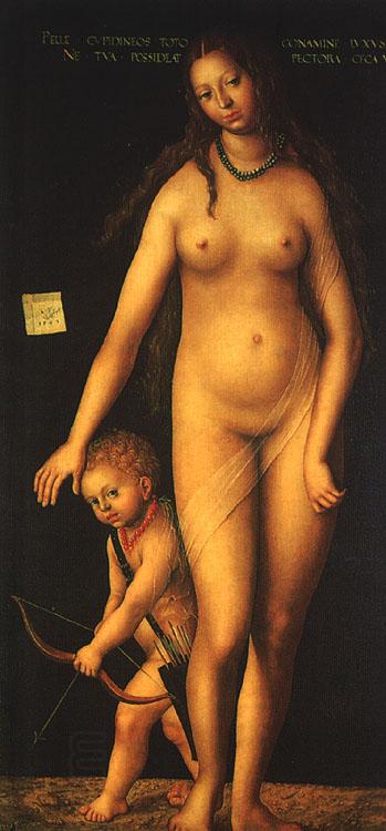 CRANACH, Lucas the Elder Venus and Cupid dfg China oil painting art